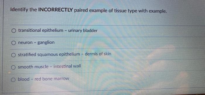 Identify The Incorrectly Paired Example Of Tissue Type With Example Transitional Epithelium Urinary Bladder Neuron Ga 1