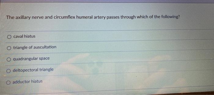 The Axillary Nerve And Circumflex Humeral Artery Passes Through Which Of The Following O Caval Hiatus O Triangle Of Aus 1