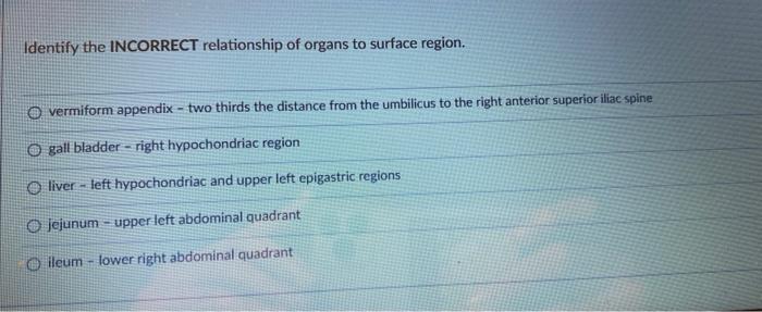 Identify The Incorrect Relationship Of Organs To Surface Region Overmiform Appendix Two Thirds The Distance From The 1
