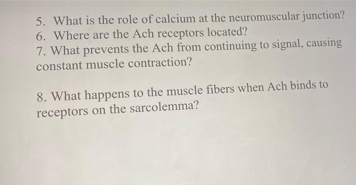 5 What Is The Role Of Calcium At The Neuromuscular Junction 6 Where Are The Ach Receptors Located 7 What Prevents T 1