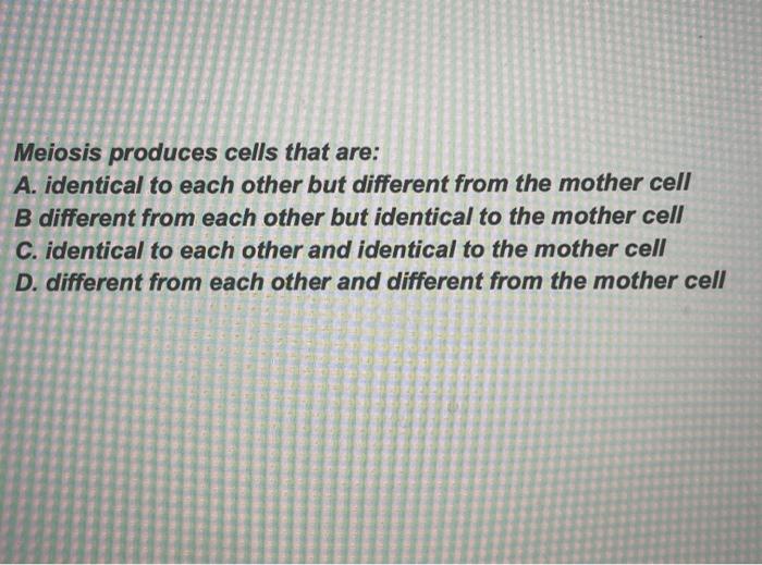 Meiosis Produces Cells That Are A Identical To Each Other But Different From The Mother Cell B Different From Each Oth 1