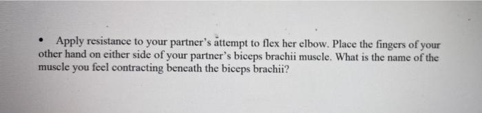 Apply Resistance To Your Partner S Attempt To Flex Her Elbow Place The Fingers Of Your Other Hand On Either Side Of You 1