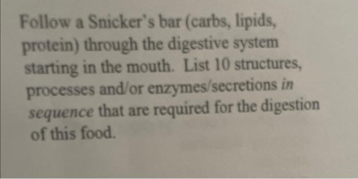 Follow A Snicker S Bar Carbs Lipids Protein Through The Digestive System Starting In The Mouth List 10 Structures 1