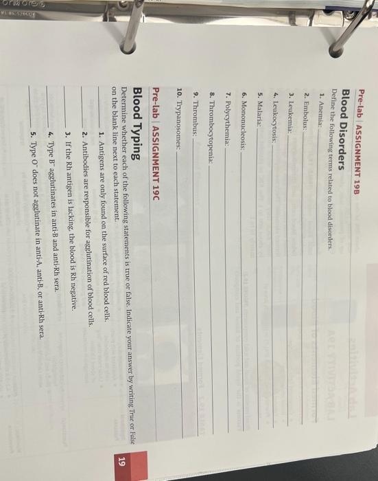 Ormoren Pre Lab Assignment 198 Blood Disorders Define The Following Terms Related To Blood Disorders 1 Anemia 2 Embo 1