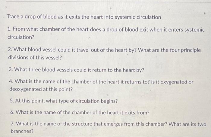 Trace A Drop Of Blood As It Exits The Heart Into Systemic Circulation 1 From What Chamber Of The Heart Does A Drop Of B 1