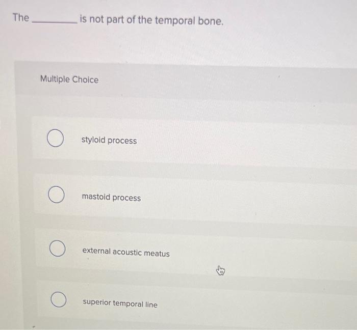 The Multiple Choice O O Is Not Part Of The Temporal Bone O Styloid Process Mastoid Process External Acoustic Meatus Sup 1