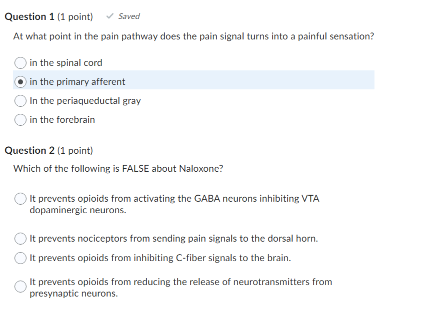 Question 1 1 Point At What Point In The Pain Pathway Does The Pain Signal Turns Into A Painful Sensation Saved In The 1