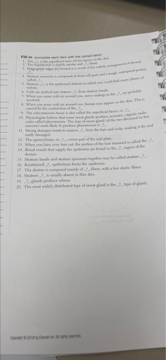 Fill In Complete Each Teen With The Correct Te The Is The Perficial Layer Of Two Lapen In The In The Hypoderms In Mainly 1
