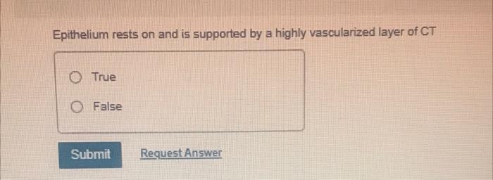 Epithelium Rests On And Is Supported By A Highly Vascularized Layer Of Ct O True False Submit Request Answer 1