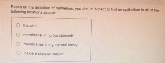 Based On The Definition Of Epithelium You Should Expect To Find An Epithelium In All Of The Following Locations Except 1
