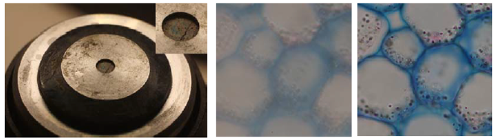 4 The Panel Below Shows Three Different Qualities Of The Same Image One Is Good And The Other Two Are Poor Identify T 3