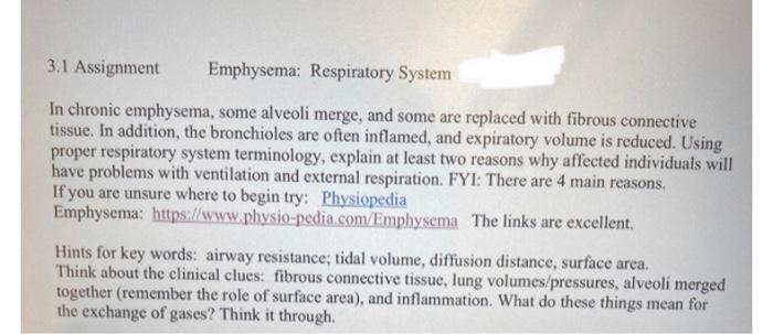 3 1 Assignment Emphysema Respiratory System In Chronic Emphysema Some Alveoli Merge And Some Are Replaced With Fibrou 2