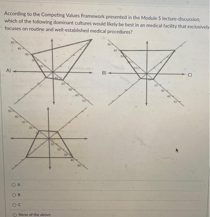 According To The Competing Values Framework Presented In The Module 5 Lecture Discussion Which Of The Following Dominan 1