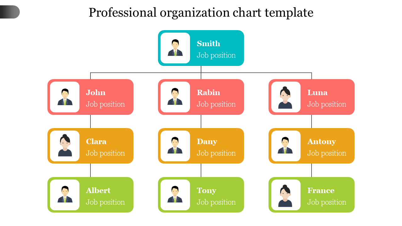 Professional Organization Chart Template John Job Position Clara Job Position Albert Job Position Smith Job Position Rab 1
