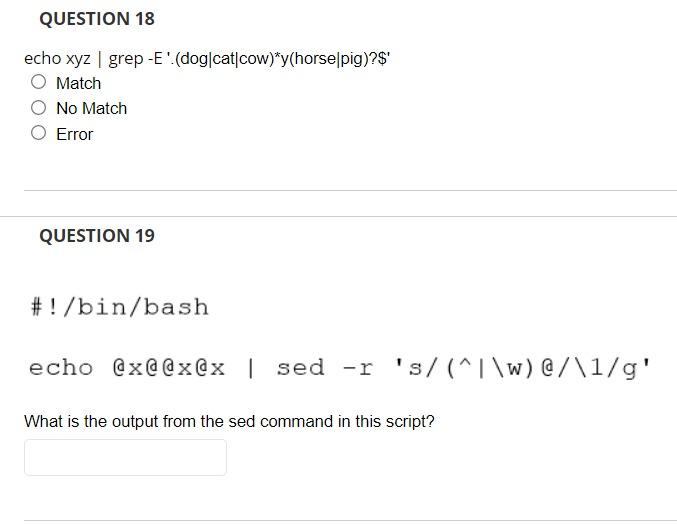 Question 18 Echo Xyz Grep E Dog Cat Cow Y Horse Pig Match No Match Error Question 19 Bin Bash Echo X X X 1
