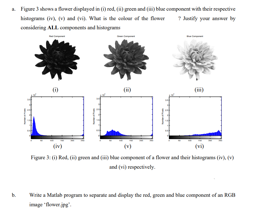 A Figure 3 Shows A Flower Displayed In I Red Ii Green And Iii Blue Component With Their Respective Histograms I 1
