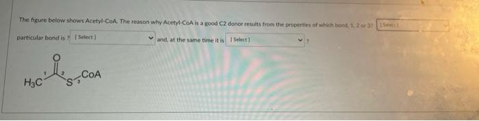 The Figure Below Shows Acetyl Coa The Reason Why Acetyl Coa Is A Good C2 Danor Results From The Properties Of Which Bon 1