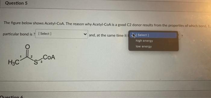 The Figure Below Shows Acetyl Coa The Reason Why Acetyl Coa Is A Good C2 Danor Results From The Properties Of Which Bon 4
