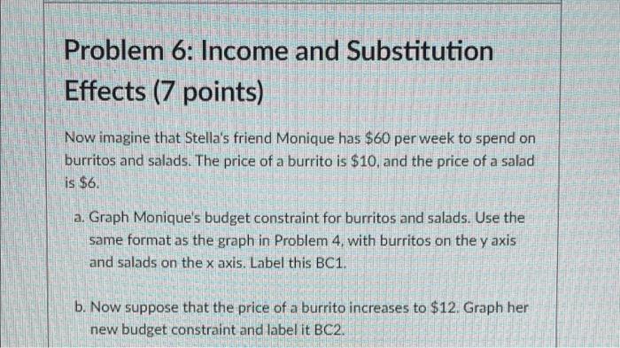 Problem 6 Income And Substitution Effects 7 Points Now Imagine That Stella S Friend Monique Has 60 Per Week To Spend 1