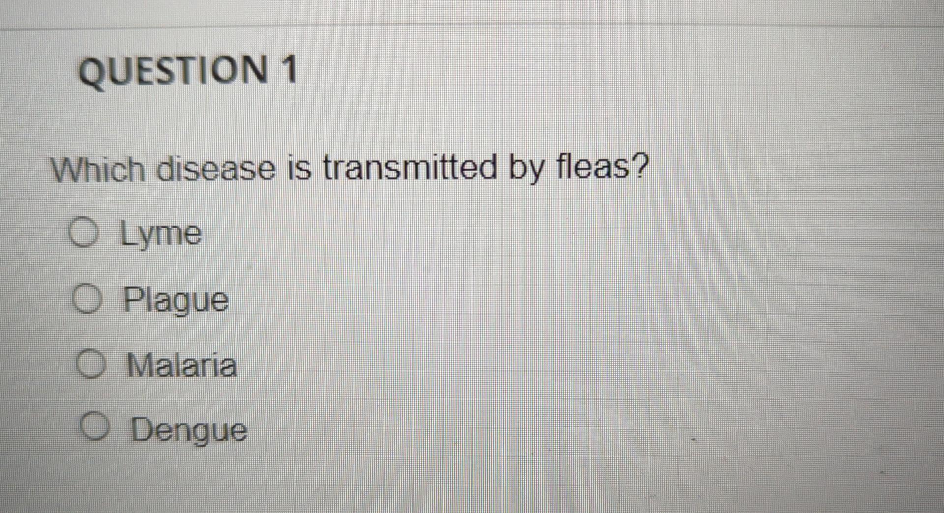 Question 1 Which Disease Is Transmitted By Fleas O Lyme O Plague O Malaria O Dengue 1
