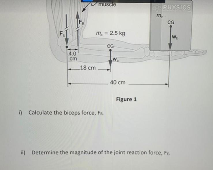 Question 1 A Explain Motion Segment For Human Spine With The Suitable Diagram Fe B A 5 Kg Physics Book Was Held In 2