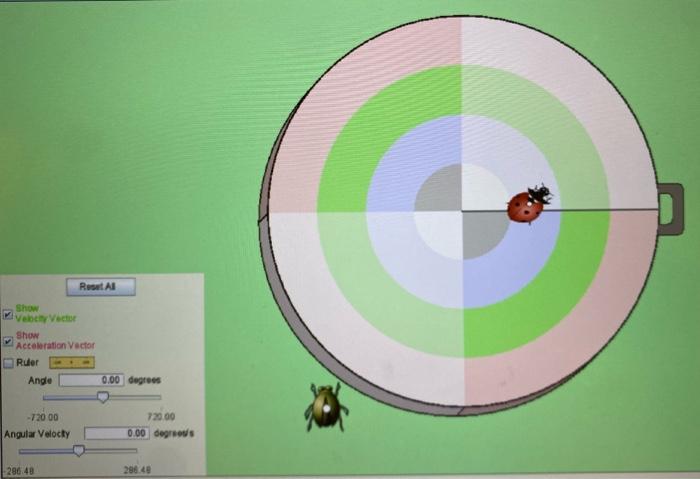 Show Vebety Vector Show Acceleration Vector Ruler Angle 720 00 Angular Velocity Reset Al 296 48 0 00 Degrees 720 00 0 0 1