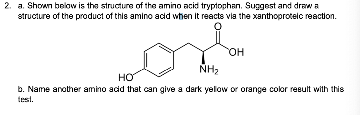 2 A Shown Below Is The Structure Of The Amino Acid Tryptophan Suggest And Draw A Structure Of The Product Of This Ami 1