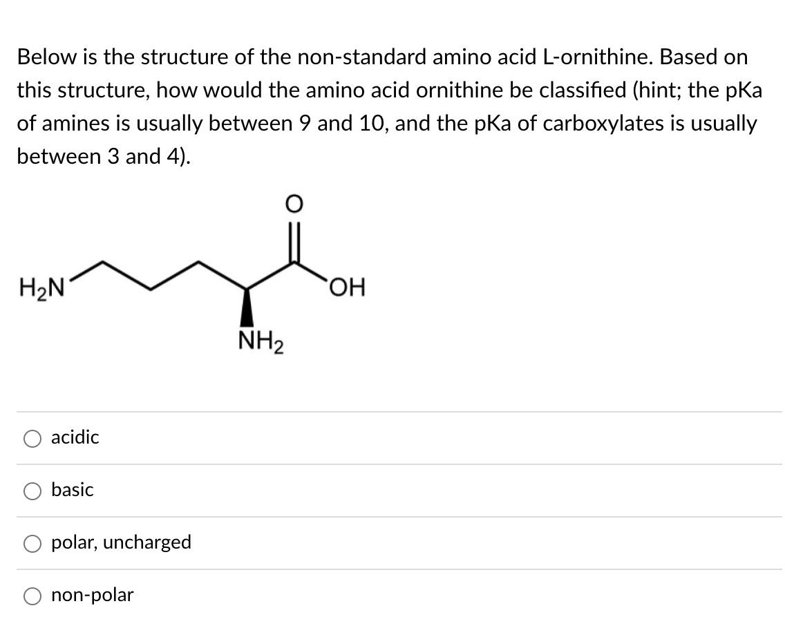 Below Is The Structure Of The Non Standard Amino Acid L Ornithine Based On This Structure How Would The Amino Acid Orn 1