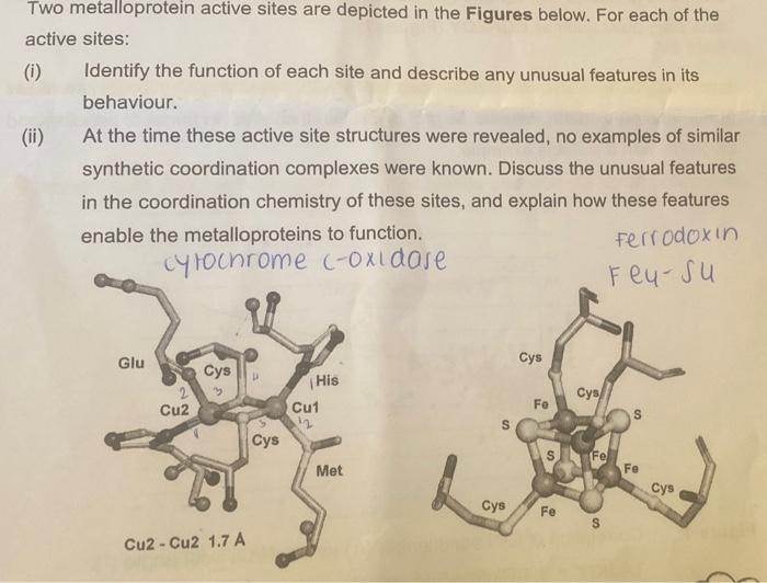 Two Metalloprotein Active Sites Are Depicted In The Figures Below For Each Of The Active Sites I Identify The Functi 1