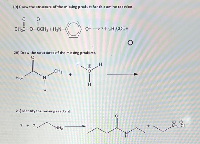 19 Draw The Structure Of The Missing Product For This Amine Reaction 0 0 Ch3c O Cch3 H N H3c 20 Draw The Structure 1