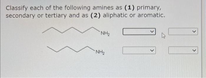 Classify Each Of The Following Amines As 1 Primary Secondary Or Tertiary And As 2 Aliphatic Or Aromatic Nh Nh 1