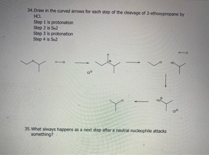 24 Provide The Structure Of The Intermediate That Is Produced By The Mechanism Shown In Step 1 Of The Following Scheme 6