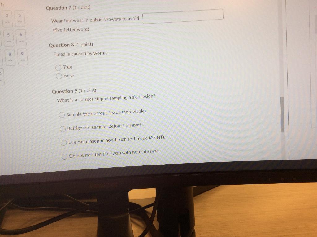 Pls Answer All Thank You 1