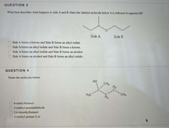 Question 1 Which Best Describes The Molecule Below 0000 Secondary Alcohol Primary Alcohol Ether Ester Question 2 Which 2