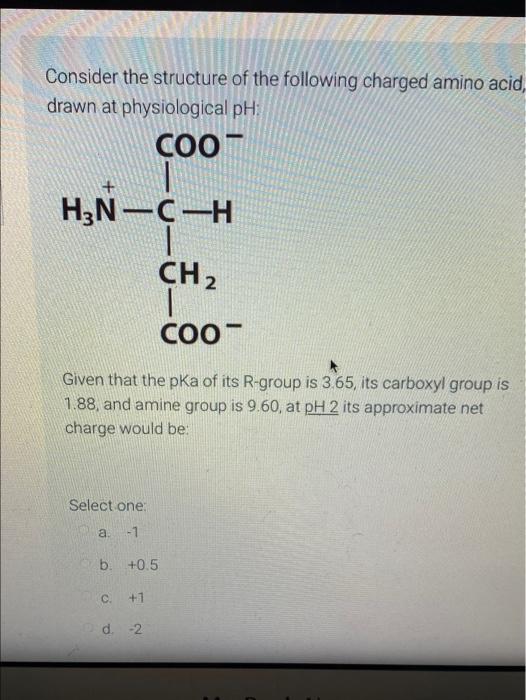 Consider The Structure Of The Following Charged Amino Acid Drawn At Physiological Ph Coot H N C H Ch 1 Coo Given Th 1