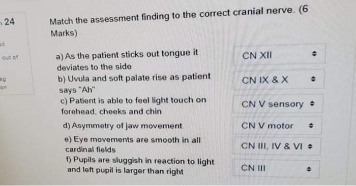 N 21 Mark Jacobs A 62 Year Old Male Retired Construction Worker Coming In For A Routine Physical Examination Mr Jaco 3