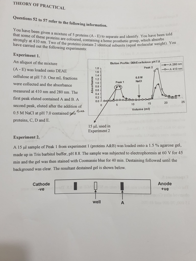Please Provide The Answers With An Explanation 1