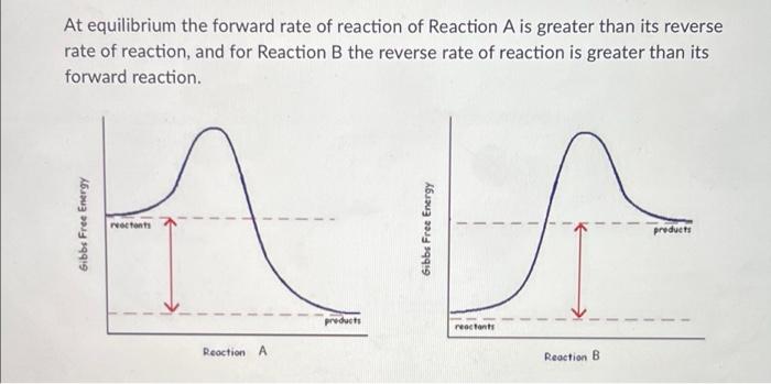 At Equilibrium The Forward Rate Of Reaction Of Reaction A Is Greater Than Its Reverse Rate Of Reaction And For Reaction 1