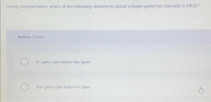 During Depolarization Which Of The Following Statements About Voltage Gated Ion Channels Is True Multiple Choice K Ga 1