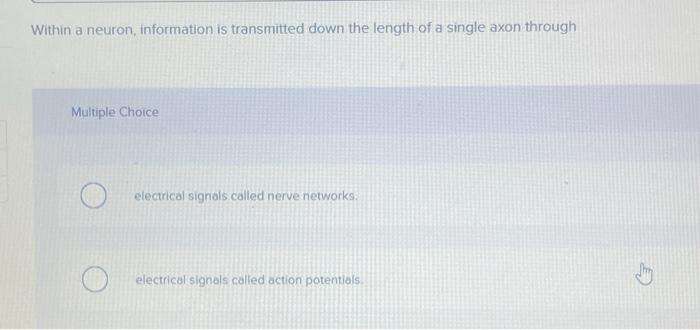 Within A Neuron Information Is Transmitted Down The Length Of A Single Axon Through Multiple Choice Electrical Signals 1