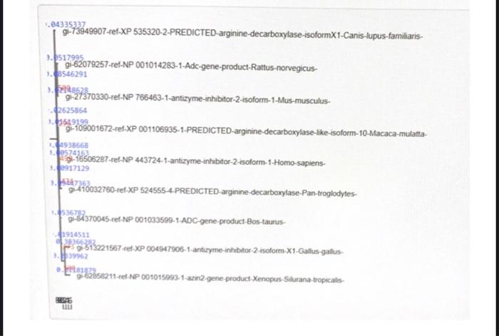 1 04335337 Gi 73949907 Ref Xp 535320 2 Predicted Arginine Decarboxylase Isoformx1 Canis Lupus Familiaris 9 9517995 1 85 1