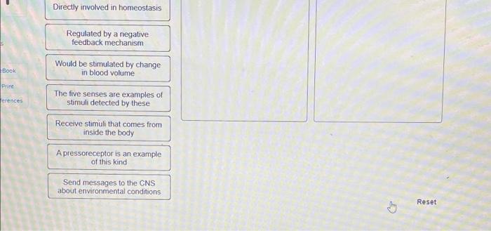Ces Categorize The Following As Descriptive Of Interoceptors Or Exteroceptors Exteroceptors Would Be Stimulated By Chan 2