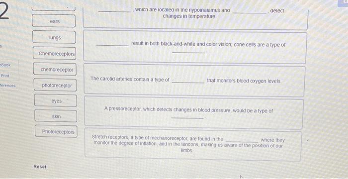 Place The Correct Word S In Each Sentence To Examine The Four Categories Of Sensory Receptors Words May Be Used More T 2