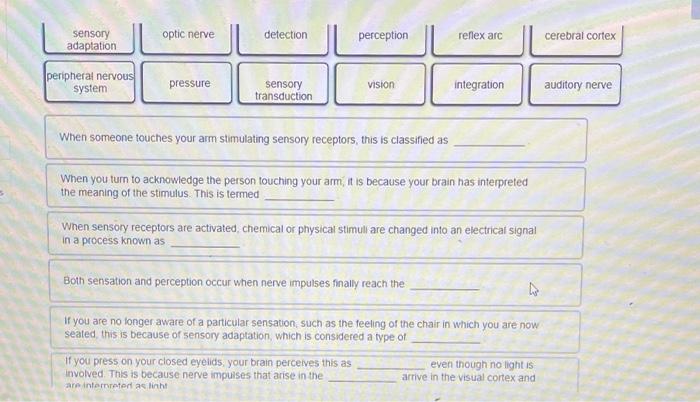 Sensory Adaptation Peripheral Nervous System Optic Nerve Pressure Detection Sensory Transduction Perception Vision When 1