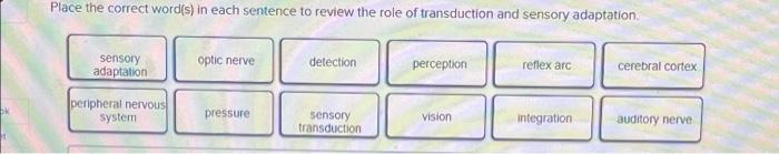 Sensory Adaptation Peripheral Nervous System Optic Nerve Pressure Detection Sensory Transduction Perception Vision When 2