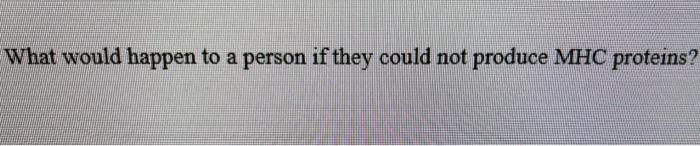 What Would Happen To A Person If They Could Not Produce Mhc Proteins 1