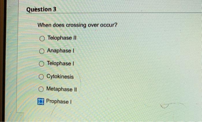 Question 1 What Is The Heart Composed Of Check All That Apply Skeletal Muscle Liver Cells Cardiac Muscle Blood Vessels 3