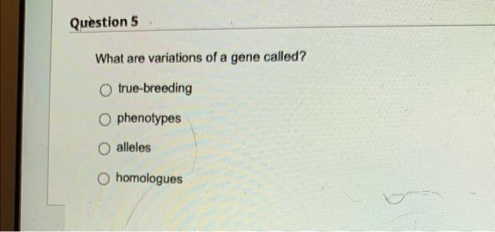 Question 1 What Is The Heart Composed Of Check All That Apply Skeletal Muscle Liver Cells Cardiac Muscle Blood Vessels 5