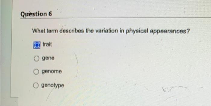 Question 6 What Term Describes The Variation In Physical Appearances Trait O Gene O Genome O Genotype Question 8 How I 1