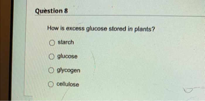 Question 6 What Term Describes The Variation In Physical Appearances Trait O Gene O Genome O Genotype Question 8 How I 2